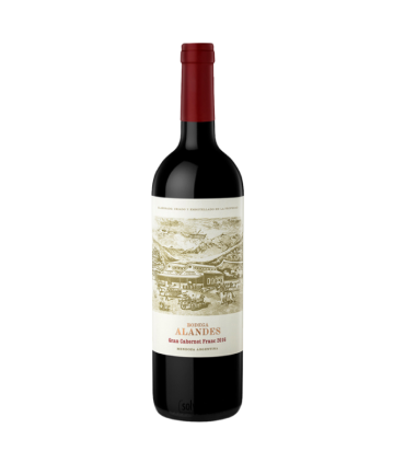 Vino Cabernet Franc Alandes Gran Reserva 750 Ml | FANS DEL VINO