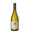 Vino Chardonnay Catalpa 750 Ml