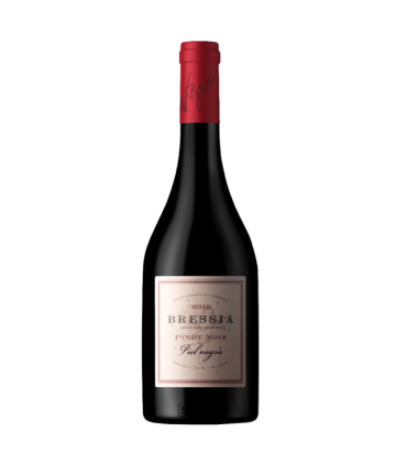 Vino Pinot Noir Bressia Piel Negra 750 Ml.