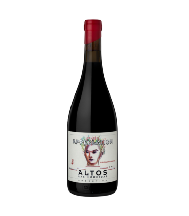 Vino Malbec Altos Las Hormigas Appellation Gualtallary 750 Ml.