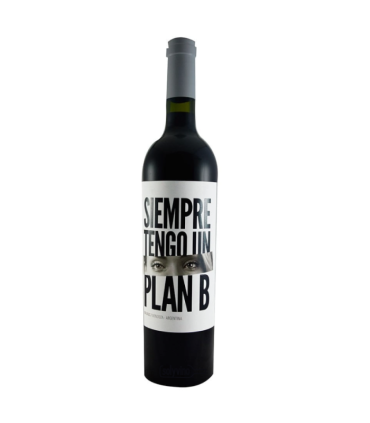 Vino Malbec Budeguer Plan B 750 Ml.