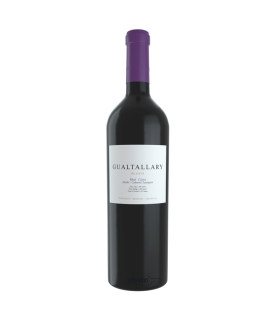 Vino Blend Altus Gualtallary 750 Ml.