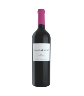 Vino Merlot Altus Gualtallary 750ml.