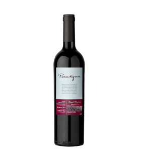 Vino Blend Domaine St Diego Paradigma 750 Ml.