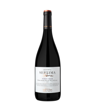 Vino Pinot Noir Septima Septima Obra 750 Ml.
