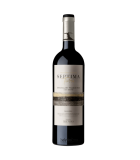 Vino Malbec Septima Tierra Gualtallary 750 Ml.