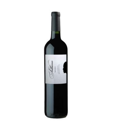 Vino Malbec Sottano 750 Ml.
