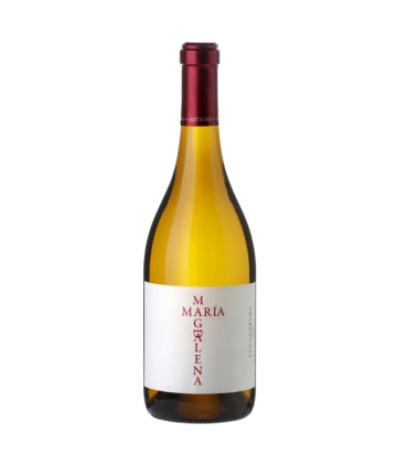 Vino Chardonnay Sottano Maria Magdalena 750 Ml.