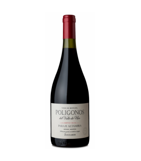 Vino Cabernet Franc Zuccardi Poligonos Altamira 750ml.
