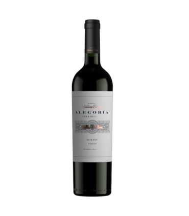 Vino Malbec Navarro Correas Alegoria Gran Reserva 750ml.