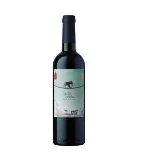 Vino Malbec Eduardo Vidal Nube Negra 750 Ml.