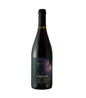 Vino Pinot Noir Caelum Gran Reserva 750 Ml.