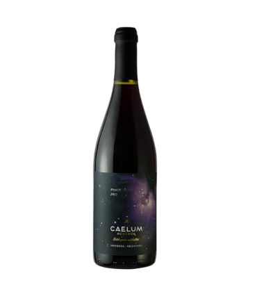 Vino Pinot Noir Caelum Gran Reserva 750 Ml.