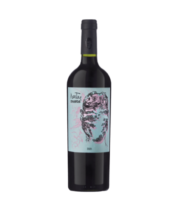 Vino Bonarda Casir Dos Santos Avatar 750 Ml