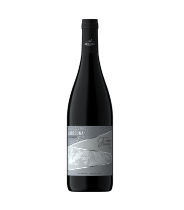 Vino Cabernet Franc Andeluna Del Cuartel 750 Ml.