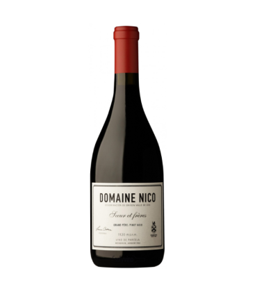 Vino Pinot Noir Domaine Nico Grand Pere 750 Ml