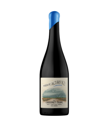 Vino Cabernet Franc Lamadrid Peñón De Agrelo 750ml | FANS DEL VINO