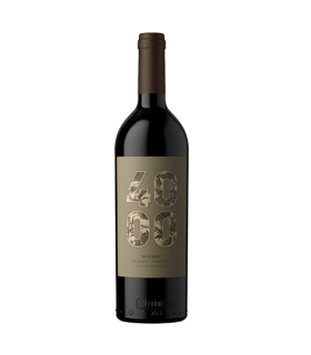 Vino Malbec Budeguer 4000 Gran Reserva 750 Ml.