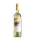 Vino Sauvignon Blanc Mi Terruño Expresión 750 Ml | FANS DEL VINO