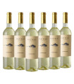 Vino Piattelli Torrontes Caja X6