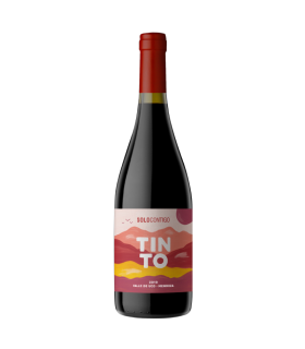 Vino Cabernet Franc Solo Contigo Tinto De Guarda Los Chacayes 750 Ml.