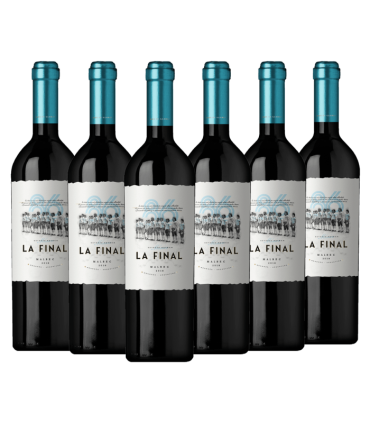 Vino La Final Malbec Caja X6