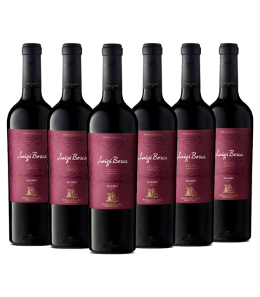 Vino Luigi Bosca Malbec Caja X6