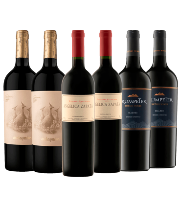 Vino Trumpeter + Catena + Las Perdices Caja X6