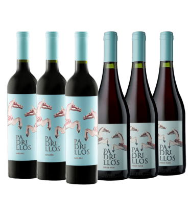 Vino Ernesto Catena Padrillos Caja Mix X6