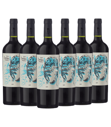 Vino Casir Dos Santos Avatar Malbec Caja X6
