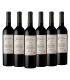 Escorihuela Familia Gascon Malbec Caja X6