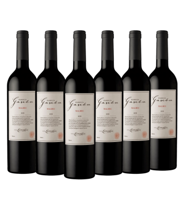 Escorihuela Familia Gascon Malbec Caja X6