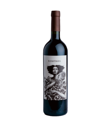 Vino Cabernet Franc Pueblo Dormido K. Fantasel 750 Ml | FANS DEL VINO