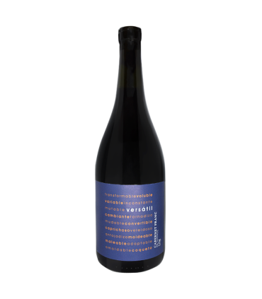 Vino Cabernet Franc Versatil 750 Ml | FANS DEL VINO