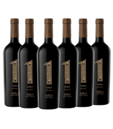 Vino Antigal Uno Malbec Caja X6