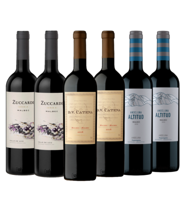 Vino Catena + Zuccardi + Andeluna Caja X6
