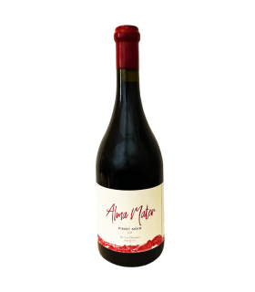 Vino Pinot Noir Matervini Almamater 750 Ml