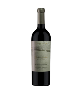 Vino Cabernet Sauvignon Susana Balbo Los Chacayes 750 Ml.
