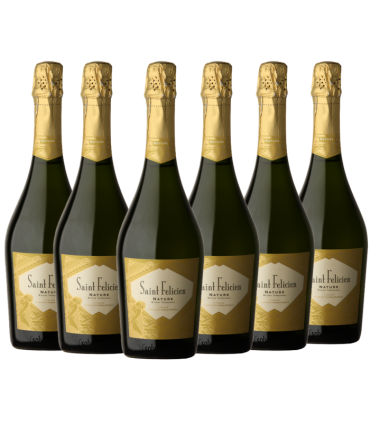 Catena Zapata Espumante Saint Felicien Nature Caja X6