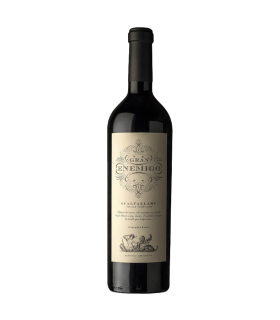 Vino Cabernet Franc Aleanna Gran Enemigo Gualtallary 2020 750 Ml