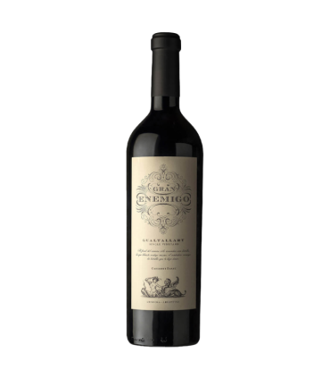 Vino Cabernet Franc Aleanna Gran Enemigo Gualtallary 2020 750 Ml