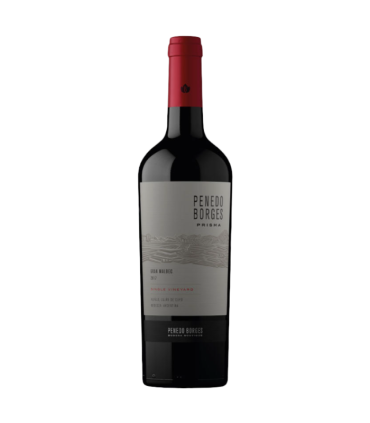 Vino Malbec Penedo Borges Prisma Gran Reserva 750 Ml.