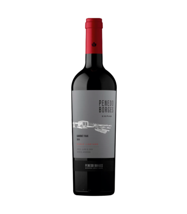 Vino Cabernet Franc Penedo Borges Cepas 750 Ml.