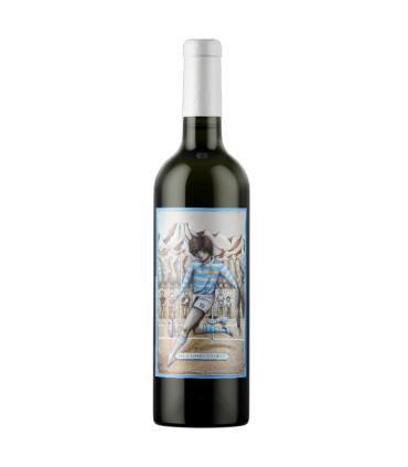 Vino Malbec Pablo Guarrochena 750 Ml