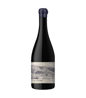 Vino Pinot Noir Zuccardi Un Lugar En Los Andes 750 Ml
