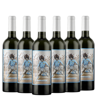 Vino Malbec Pablo Guarrochena Caja X6