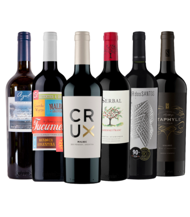 Promo "Asado Con Los Pibes" Caja Mix X6 | FANS DEL VINO