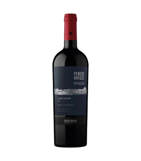 Vino Cabernet Sauvignon Penedo Borges Seleccion De Parcelas 750 Ml.