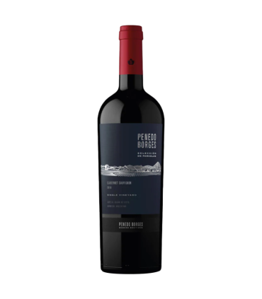 Vino Cabernet Sauvignon Penedo Borges Seleccion De Parcelas 750 Ml.