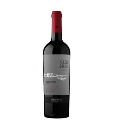 Vino Cabernet Sauvignon Penedo Borges Cepas 750 Ml